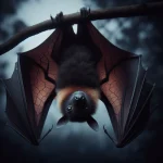 تحقیق در مورد خفاش